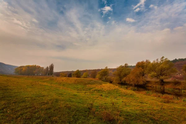 Niesamowity Jesienny Krajobraz Żółtymi Drzewami — Zdjęcie stockowe