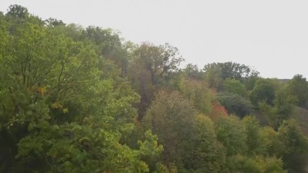 Sonbahar Ormanında Uçuşu Sonbahar Yaprakları Ağaçlar Turuncu Kırmızı Sarı Yeşil — Stok video