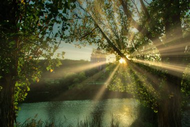 Parlak Güneş Işıkları Ağaçların Arasında Parlıyor. Manyetik sonbahar günbatımı.
