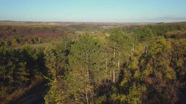 Luftaufnahme Von Buntem Wald Herbst Mit Straßendurchschnitt — Stockvideo