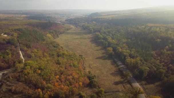 Bir Orman Yolunun Havadan Görünüşü Tepe Boyunca Sis Sonbahar Manzarası — Stok video