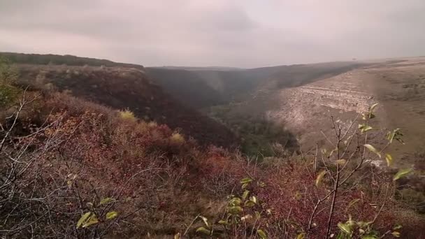 Zamračený Podzimní Den Horách Transilvánie Rumunsko — Stock video