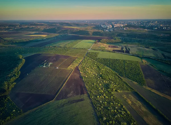 Vista Aérea Desde Dron Vista Pájaro Hacia Bosque Con Plantaciones — Foto de Stock