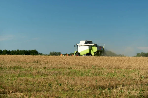 밭에서 추수꾼을 고용하여 활동하게 밭에서 곡식을 수확하는 — 스톡 사진