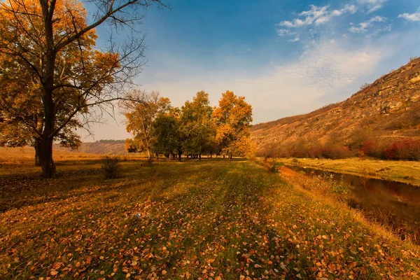 Pemandangan Musim Gugur Kuning Lapangan Dan Langit Biru — Stok Foto