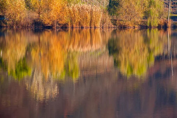 Floresta Outono Colorida Com Reflexão Água Lago Calmo — Fotografia de Stock