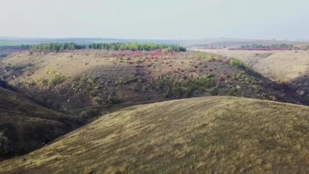 Vuelo Sobre Las Colinas Cadera Otoño — Vídeos de Stock