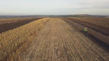 Küçük bir traktör mevsimin sonunda toprağı sürüyor, ekime hazırlanıyor, sonbaharın sonlarında.