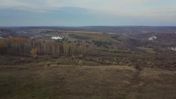 Drohnenflug Über Einer Vorstadt Gemeinde Einem Sonnigen Sommertag Dächer Und — Stockvideo