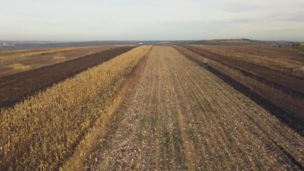 季節の終わりに小さなトラクターが土地を耕し 播種の準備 — ストック動画