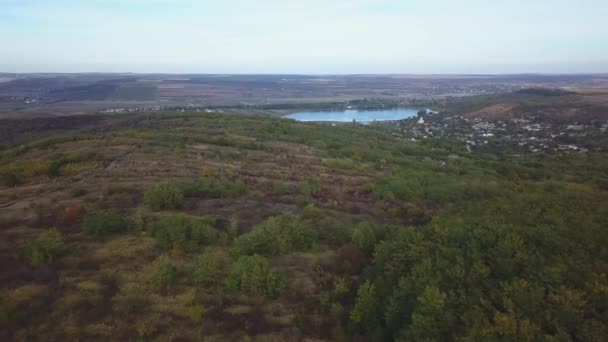 Sonbahar Üzüm Bağları Üzerinde Hava Manzarası Gerçek Yüksek Açı — Stok video