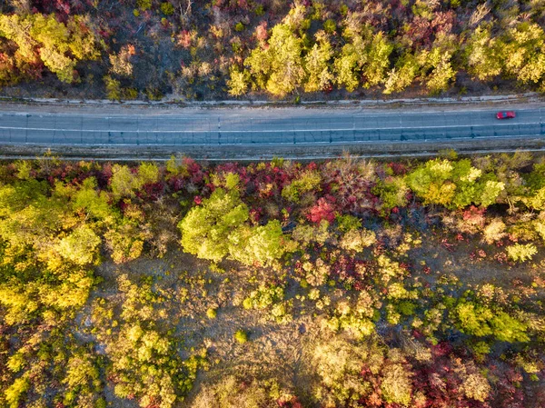 Widok z lotu ptaka na kolorowy las jesienią z przecięciem drogi — Zdjęcie stockowe