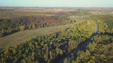 Sonbaharda renkli ormanın havadan görünüşü ve yol kesimi