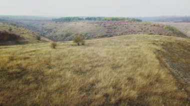 Sonbaharda hig korkuluklarının üzerinden uçacağız.