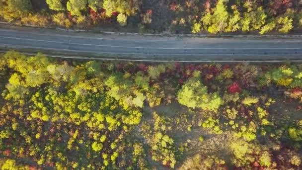 秋のカラフルな森の空中風景と道路の切り通し — ストック動画