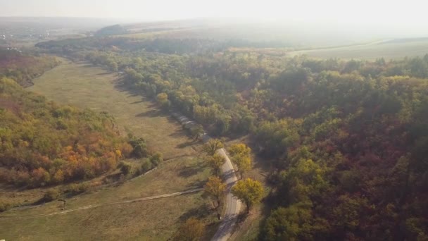 Vue Aérienne Forêt Colorée Automne Avec Coupe Route Travers — Video