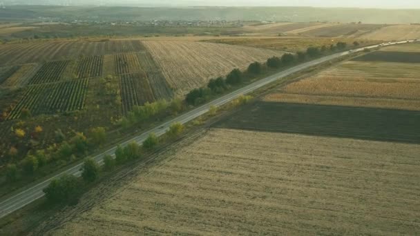 Vista Aérea Voar Sobre Campos Agrícolas Árvores Bela Paisagem Uma — Vídeo de Stock