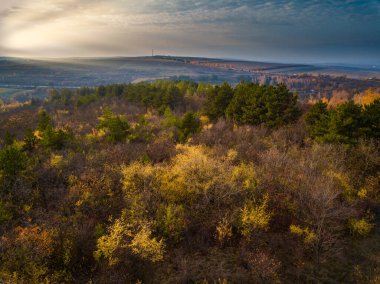 Sonbahar ormanında İHA uçuşu. Sonbahar yaprakları ve ağaçlar. Turuncu, Kırmızı, Sarı ve Yeşil Güzel Sahne.