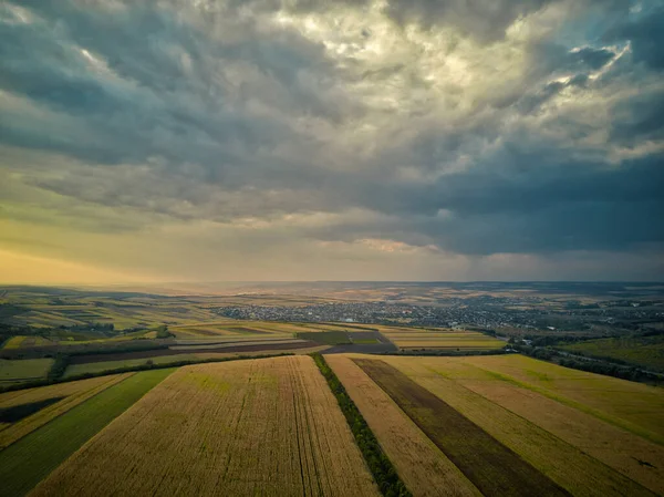 Panorama Lotnicza Nad Zdrowymi Zielonymi Uprawami Pastwiskach Zachód Słońca Magnetycznego — Zdjęcie stockowe