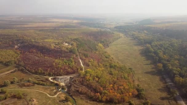 Flygfoto Över Skogsväg Väg Längs Kullen Med Dimma Cinematic Drönare — Stockvideo