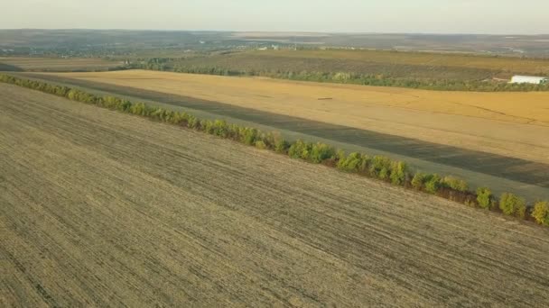 从空中俯瞰农场和树木 从高处看美丽的风景 — 图库视频影像