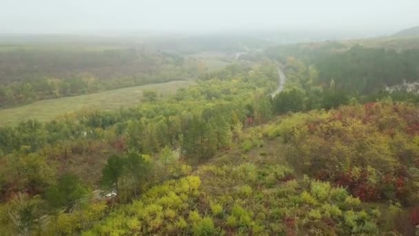 Vue Aérienne Forêt Colorée Automne Avec Coupe Route Travers — Video