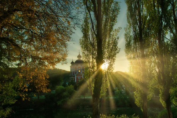 Feixes Sol Brilhantes Brilhando Através Árvores Pôr Sol Mágico Outono — Fotografia de Stock