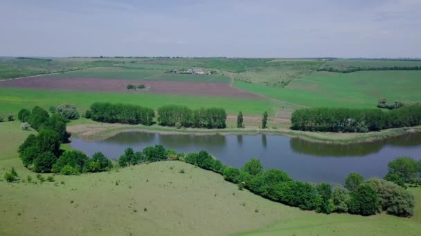 Lake Fields Drone Low Aerial Flight Lake Fields Drone Aerial — Stock video