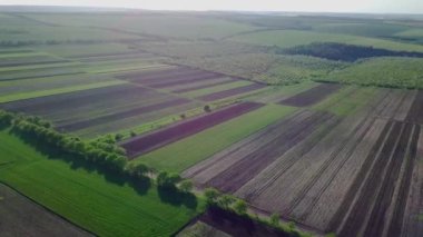 Tarımsal alan üzerinde uçan hava görüntüleri.