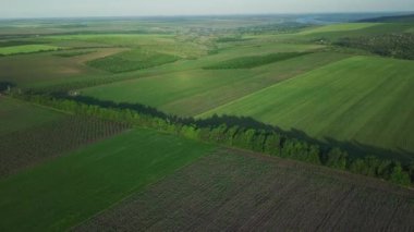 Tarımsal alan üzerinde uçan hava görüntüleri.