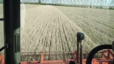 Hasat biçici mekanizması döner ve buğday kulaklarını keser. Taksiden görüntüyü görüntüle.