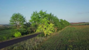 4K Havacılık. Kırsal alanda arabalarla otoyolun üzerinden uçmak. Peyzaj