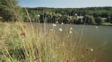 Hıristiyan manastırı manzarası. Göl ve Thiganeshty Manastırı manzarası. Moldova.