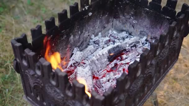 Men Stirring Coals Fire Pit — Stock Video