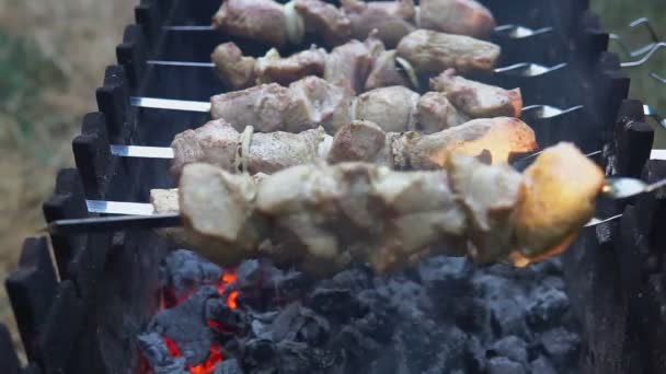 Les Mains Homme Tournent Les Brochettes Shish Kebab Morceaux Viande — Video