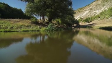 Güzel bir nehir, bir sürü yeşillik ve ağaçlar, suda güzel bir yansıma..