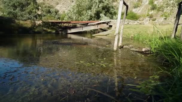 Küçük Nehrin Üzerindeki Eski Gölet Mucize Doğal Manzara — Stok video