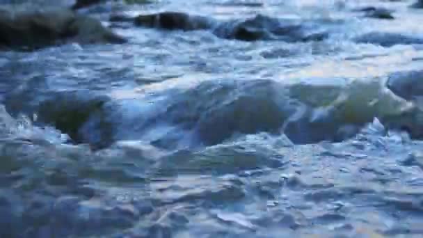 Wild Mountain River Close Overvloedige Clear Stream Detail Static Shot — Stockvideo
