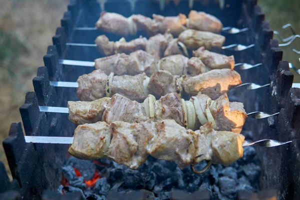 Shashlik marinados preparándose en una parrilla de barbacoa sobre carbón vegetal. Shashlik o Shish kebab popular en Europa del Este. La carne picada de shashlyk estaba hecha originalmente de cordero. Kebabs de carne asada en parrilla de barbacoa. — Foto de Stock