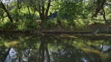 Güzel bir nehir, bir sürü yeşillik ve ağaçlar, suda güzel bir yansıma..