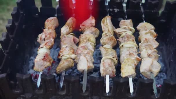 Marinated barbecue meat on skewer. Shish kebab or Shashlyk meaning skewered  meat. Beef or pork on grill on an open fire with smoke. Street food, picnic  concept Stock Photo