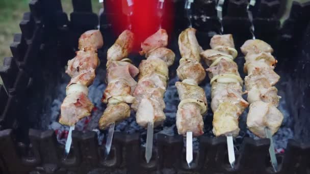 A mans mains tournant les brochettes. Shish Kebab. Morceaux de viande de porc ou d'agneau frits sur un gril au charbon de bois. Faire frire les morceaux de viande grillés pendant le reste. — Video