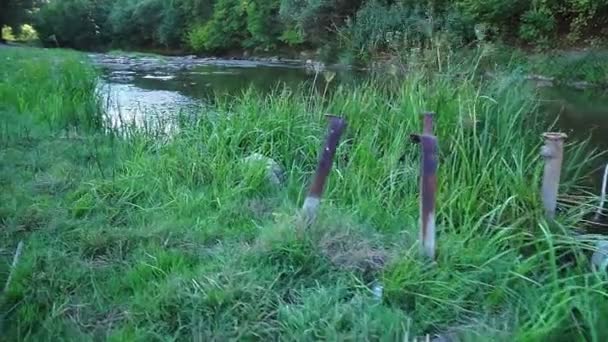 Hermoso río, mucha vegetación y árboles, un hermoso reflejo en el agua. — Vídeos de Stock