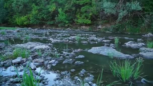 Wild Mountain River Közelkép Bőségesen tiszta patak. Részlet Statikus felvétel a Babbling Creek-ről a Stone Boulders Flowing-al. Rock Rapid Swift fröccsenő vízben. POV. — Stock videók