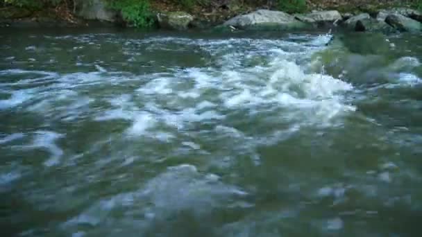 Wild Mountain River Close Abundant Clear Stream Inglés Detalle Static — Vídeo de stock
