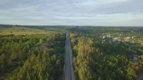 森の中の道路上のビデオドローンの空中ビュー — ストック動画