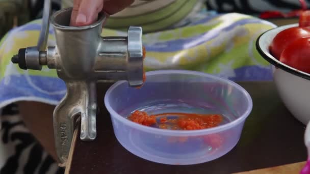 Domatesler Evdeki Meyve Sıkacağında Lezzetli Sağlıklı Domates Suyuna Dönüştürülür Domates — Stok video
