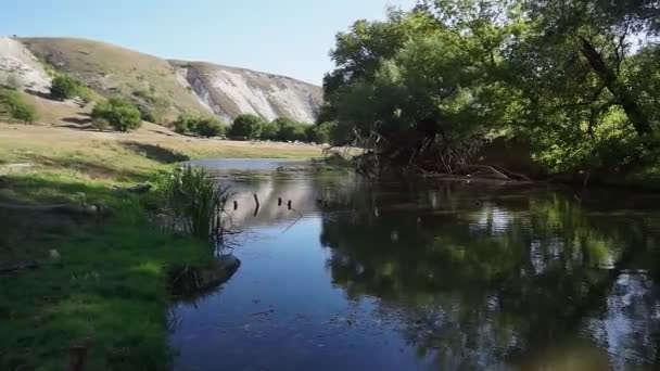 Piękna Rzeka Dużo Zieleni Drzew Piękne Odbicie Wodzie — Wideo stockowe