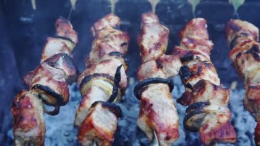 Izgarada kızartılmış şiş ızgara, yakın plan. Açık hava barbeküsü