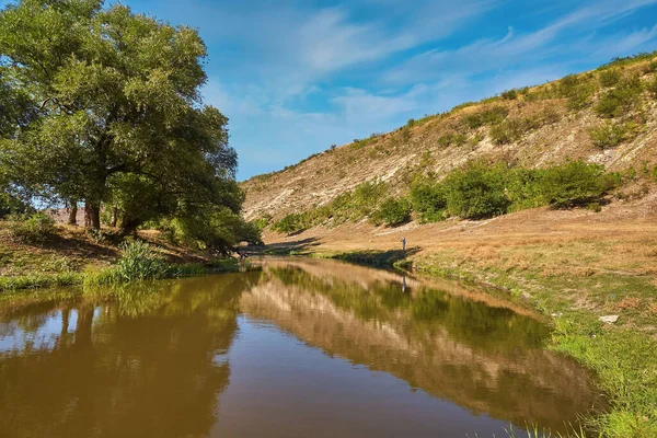 Vacker Flod Mycket Grönska Och Träd Vacker Reflektion Vattnet — Stockfoto